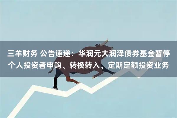 三羊财务 公告速递：华润元大润泽债券基金暂停个人投资者申购、转换转入、定期定额投资业务
