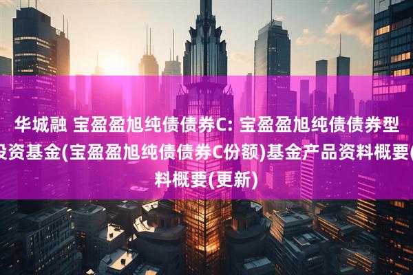 华城融 宝盈盈旭纯债债券C: 宝盈盈旭纯债债券型证券投资基金(宝盈盈旭纯债债券C份额)基金产品资料概要(更新)