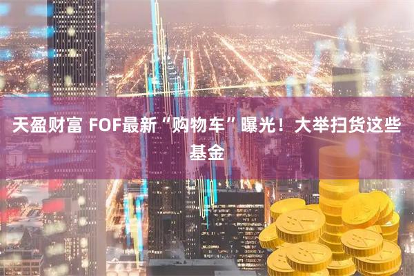 天盈财富 FOF最新“购物车”曝光！大举扫货这些基金
