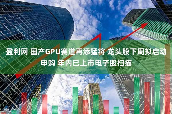 盈利网 国产GPU赛道再添猛将 龙头股下周拟启动申购 年内已上市电子股扫描