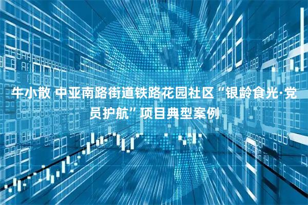 牛小散 中亚南路街道铁路花园社区“银龄食光·党员护航”项目典型案例